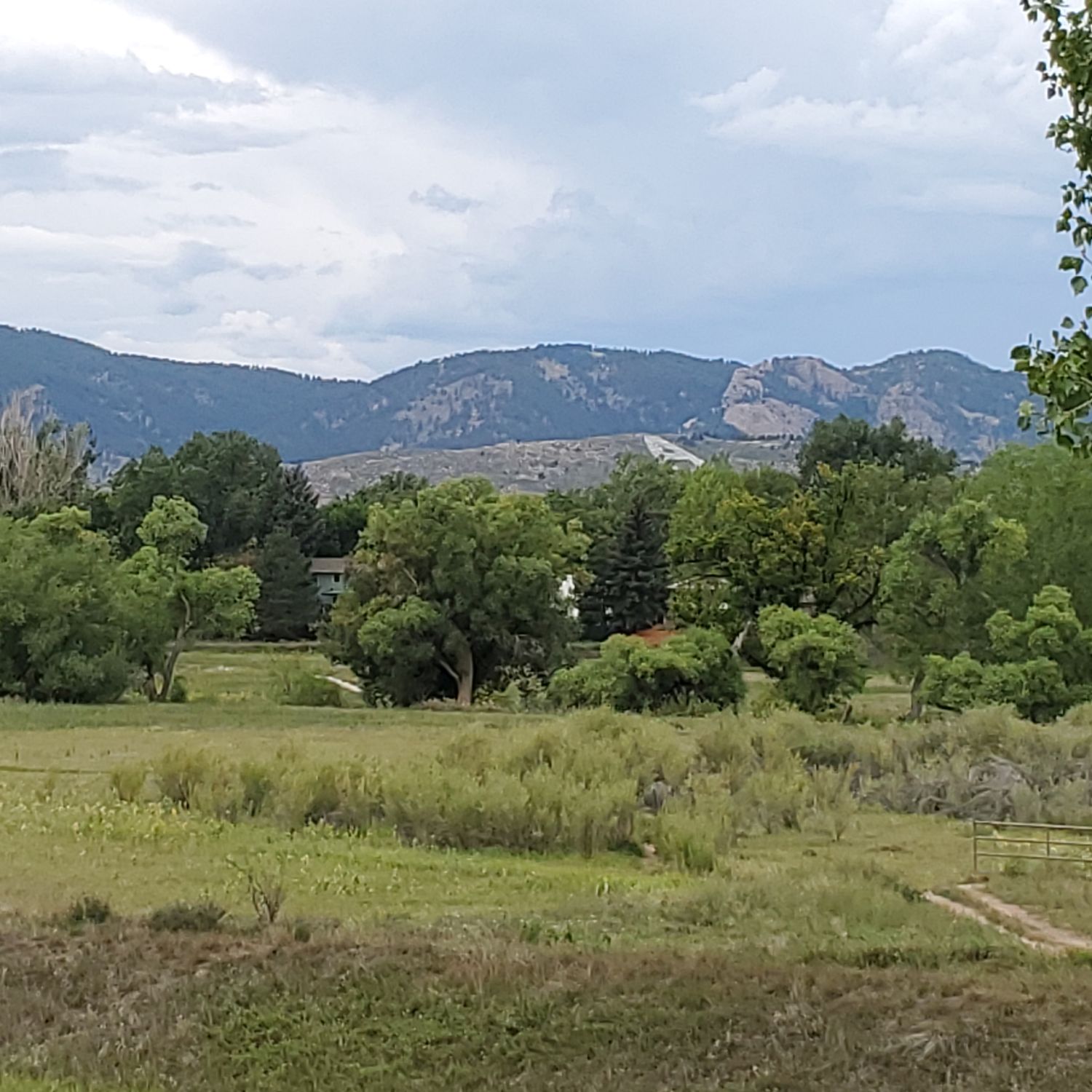 Nature Area